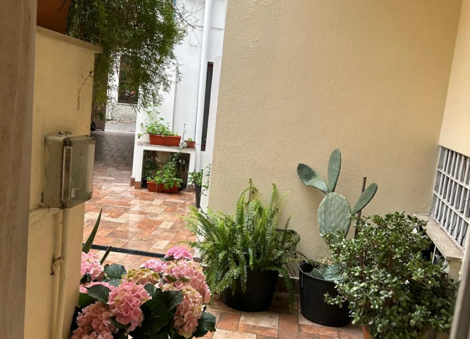 Ubytování v soukromí Apartmán Art House Nuoro